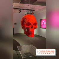 Expo The Art of The Brick Galerie Montparnasse - IMG 3037