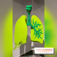 Expo The Art of The Brick Galerie Montparnasse