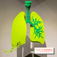 Expo The Art of The Brick Galerie Montparnasse