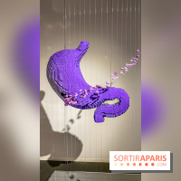 Expo The Art of The Brick Galerie Montparnasse - IMG 3059