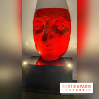 Expo The Art of The Brick Galerie Montparnasse - IMG 3087