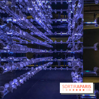 Expo The Art of The Brick Galerie Montparnasse - IMG 3106