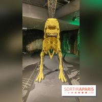 Expo The Art of The Brick Galerie Montparnasse - IMG 3109