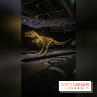 Expo The Art of The Brick Galerie Montparnasse - IMG 3111