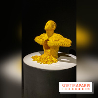 Expo The Art of The Brick Galerie Montparnasse - IMG 3120