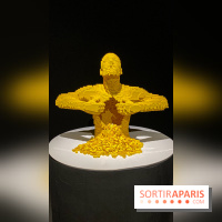 Expo The Art of The Brick Galerie Montparnasse - IMG 3123
