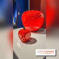 Expo The Art of The Brick Galerie Montparnasse - IMG 3133