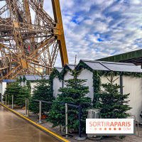Marché de Noël de la tour Eiffel