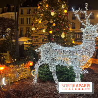 Bel Hiver 2023 à Saint-Denis - nos photos - image00018