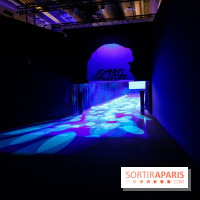 Johnny Hallyday, nos photos de l'expo à Paris - IMG 1946