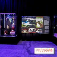 Johnny Hallyday, nos photos de l'expo à Paris - IMG 2087