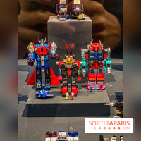 Exposition Jouets Robots à l'Espace Richaud de Versailles - IMG 3535