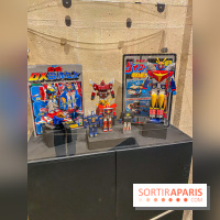 Exposition Jouets Robots à l'Espace Richaud de Versailles - IMG 3549