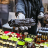 DIMANCHES PLAISIRS : des activités pour toute la famille ! - BV 20231203132056BV1 6316