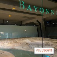 Musée des Plans-Reliefs - nos photos - image00030