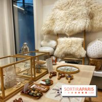 Centre Element - IMG 7954