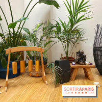 Centre Element - IMG 7955