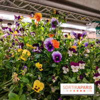 La Caverne, ferme urbaine bio à Paris, nos photos - 20240122 144934