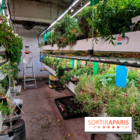 La Caverne, ferme urbaine bio à Paris, nos photos - 20240122 145108
