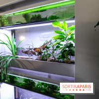 La Caverne, ferme urbaine bio à Paris, nos photos - IMG 2200