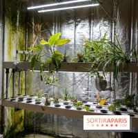 La Caverne, ferme urbaine bio à Paris, nos photos - IMG 2208