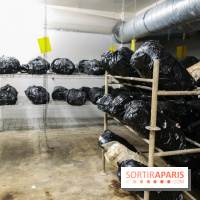 La Caverne, ferme urbaine bio à Paris, nos photos - IMG 2228