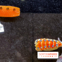 L'exposition gratuite du vestiaire haute couture d'Irina Volkonskii à l'Hôtel Drouot - image00006