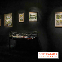 Suzanne Husky au Drawing Lab - IMG 4196