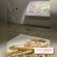 Suzanne Husky au Drawing Lab - IMG 4204