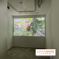 Suzanne Husky au Drawing Lab - IMG 4205