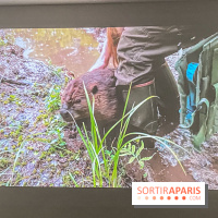 Suzanne Husky au Drawing Lab - IMG 4206