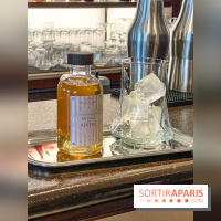 Disneyland Hotel à Disneyland Paris bar fleur de lys