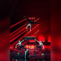 Festival Mondial du Cirque de Demain 2024, les photos
