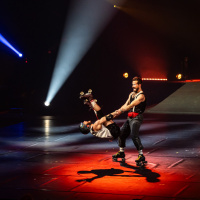 Festival Mondial du Cirque de Demain 2024, les photos