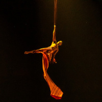 Festival Mondial du Cirque de Demain 2024, les photos