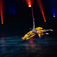 Festival Mondial du Cirque de Demain 2024, les photos  -  A7C3072