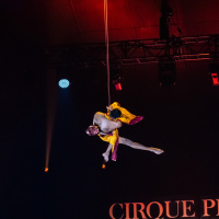 Festival Mondial du Cirque de Demain 2024, les photos