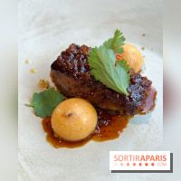 Vaisseau d'Adrien Cachot - Cochon de lait