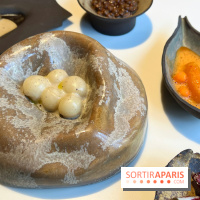 Vaisseau d'Adrien Cachot - Mochi