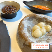 Vaisseau d'Adrien Cachot - Mochi