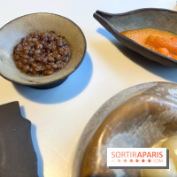 Vaisseau d'Adrien Cachot - Lentilles