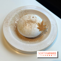 Vaisseau d'Adrien Cachot - Mont Blanc champignons