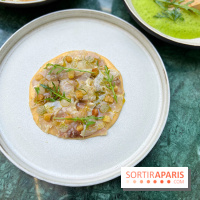 Halo de Victor Blanchet - Carpaccio de mulet