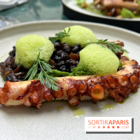 Halo de Victor Blanchet - Poulpe grillé