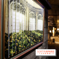 Les Extatiques dans les souterrains de Paris La Défense, nos photos - IMG 2266