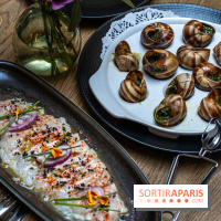 Les Chouettes restaurant  -  A7C3286