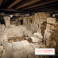 Dans la Seine : une expo de la Crypte archéologique dévoile les objets retrouvés dans la Seine  - (1)