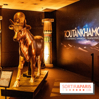 Toutankhamon, l'expérience immersive Pharaonique - les photos -  A7C4202 HDR
