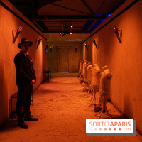 Toutankhamon, l'expérience immersive Pharaonique - les photos -  A7C4234