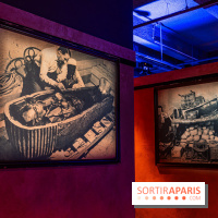 Toutankhamon, l'expérience immersive Pharaonique - les photos -  A7C4345